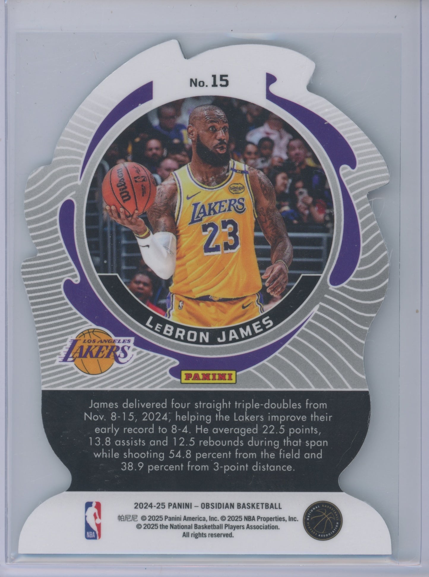 2024 Panini Obsidian LeBron James #15 Mist