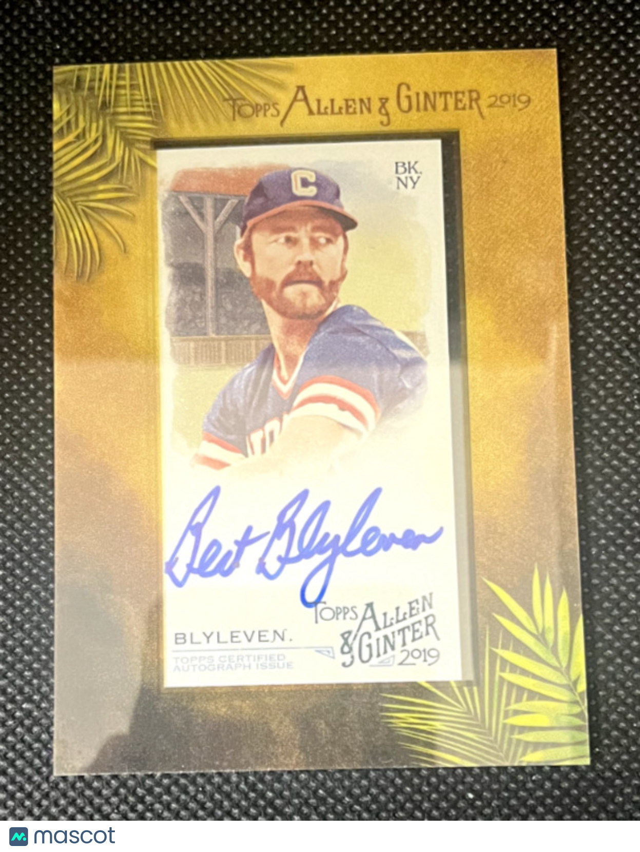 2019 Topps Allen and Ginter Framed Mini Autographs Bert Blyleven