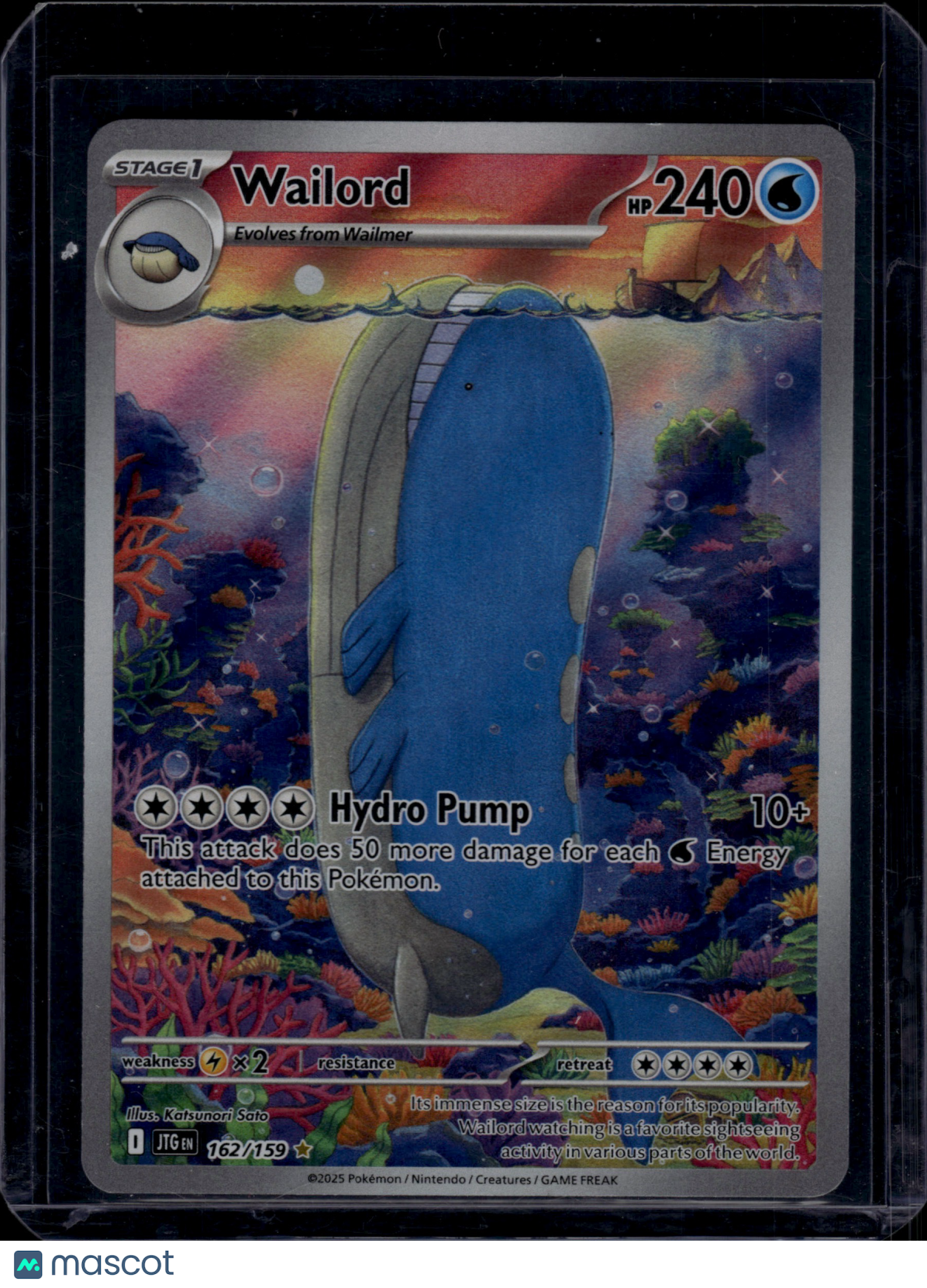 2025 Pokemon Wailord #162/159