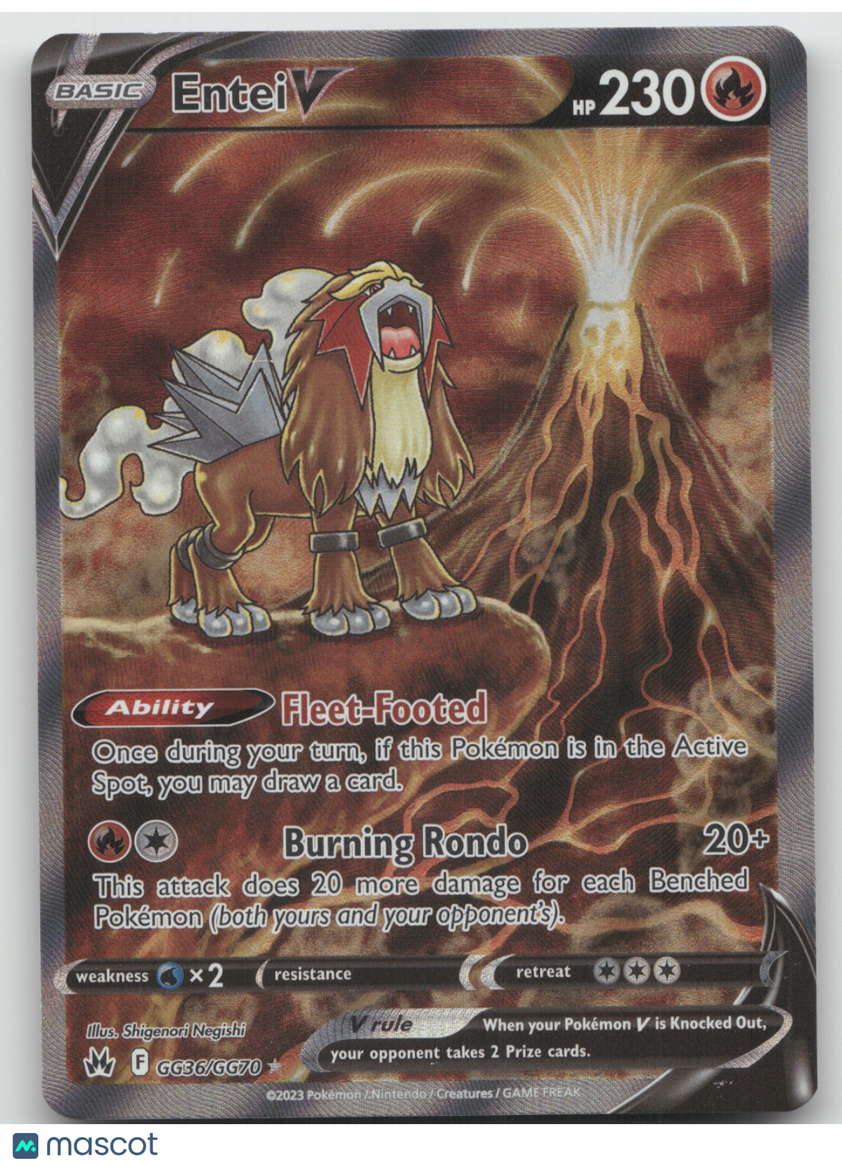 2023 SWSH Crown Zenith Entei V Holo Rare #GG36/GG70
