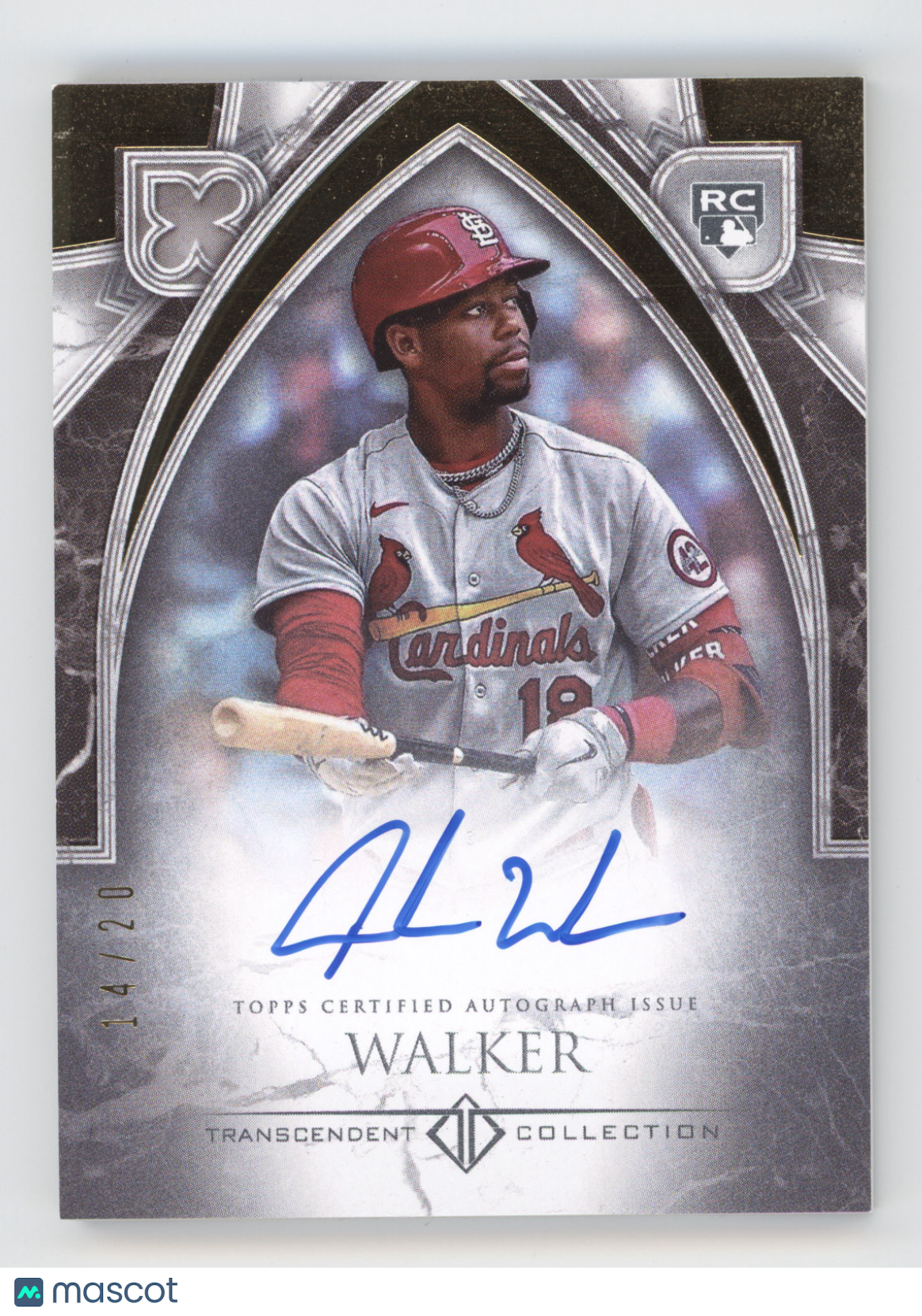 2023 Topps Transcendent Collection Jordan Walker #JWA Rookie Autograph 14/20 RC