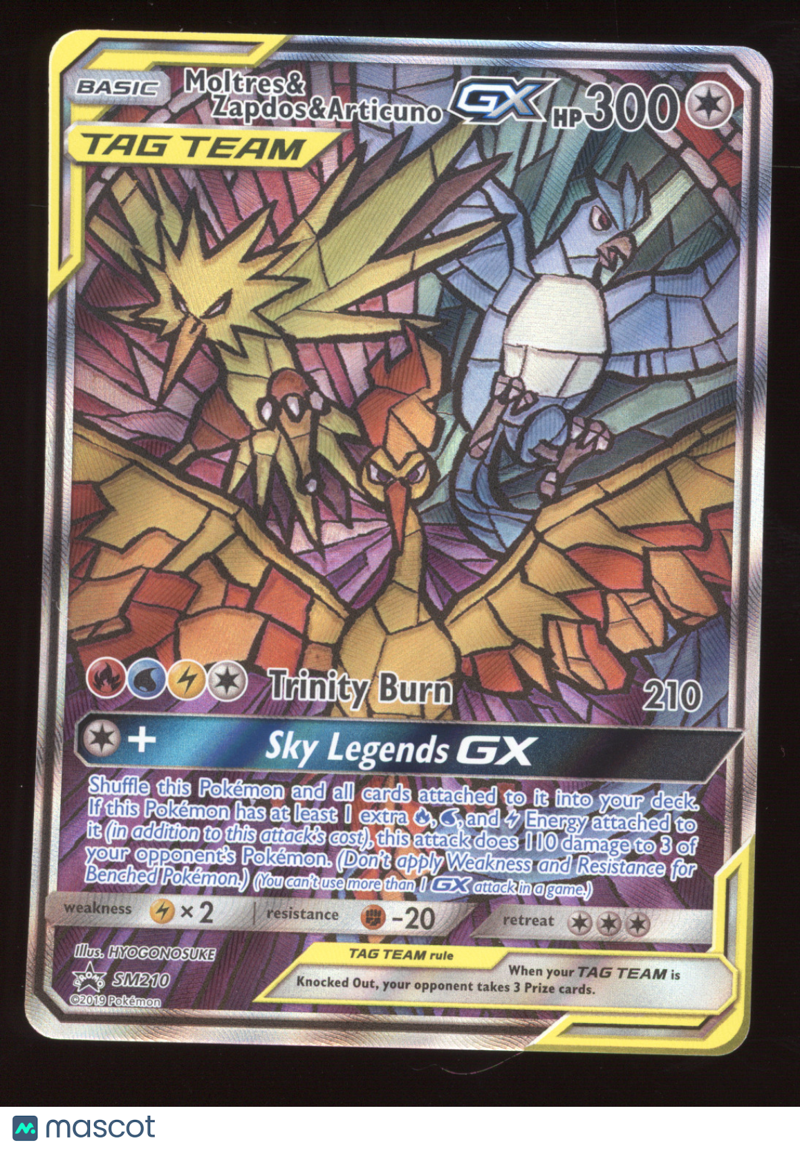 2019 Sun & Moon Moltres & Zapdos & Articuno GX Black Star Promo #SM210
