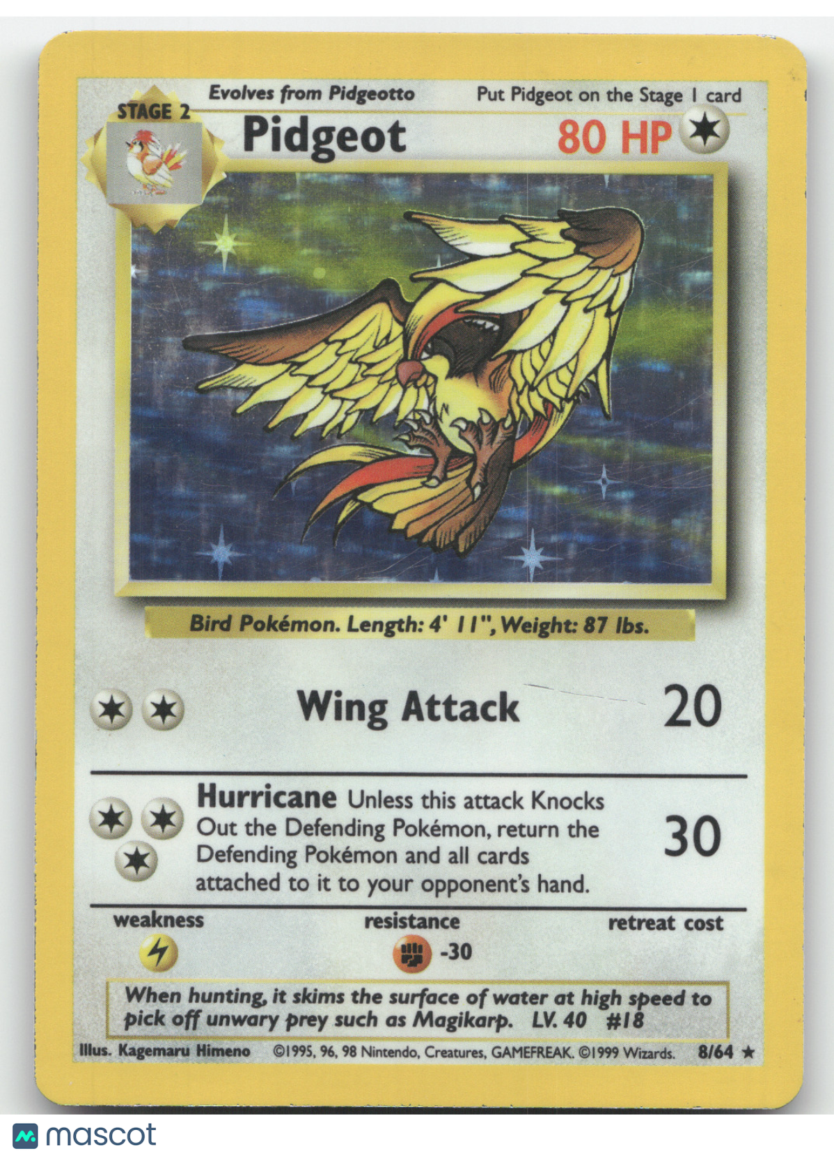 1999 Jungle Pidgeot Holo Rare #8/64