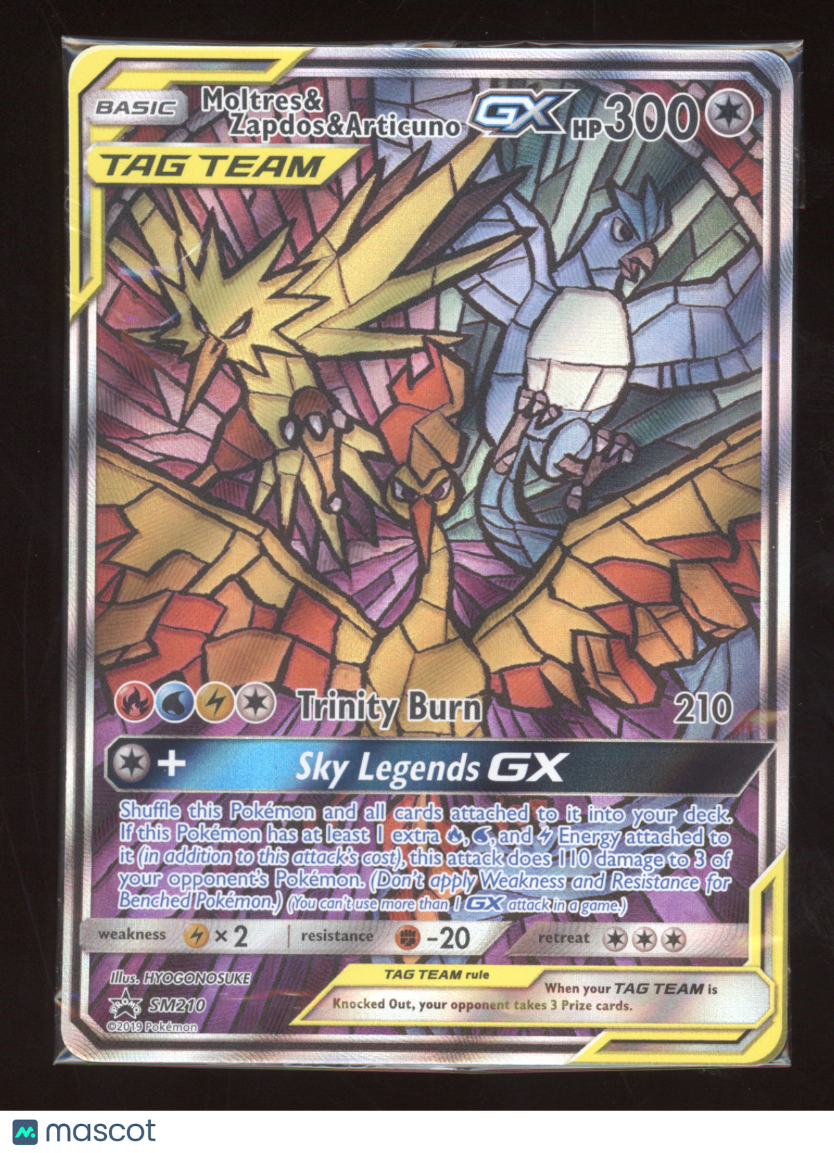 2019 Sun & Moon Moltres & Zapdos & Articuno GX (sealed) Black Star Promo #SM210