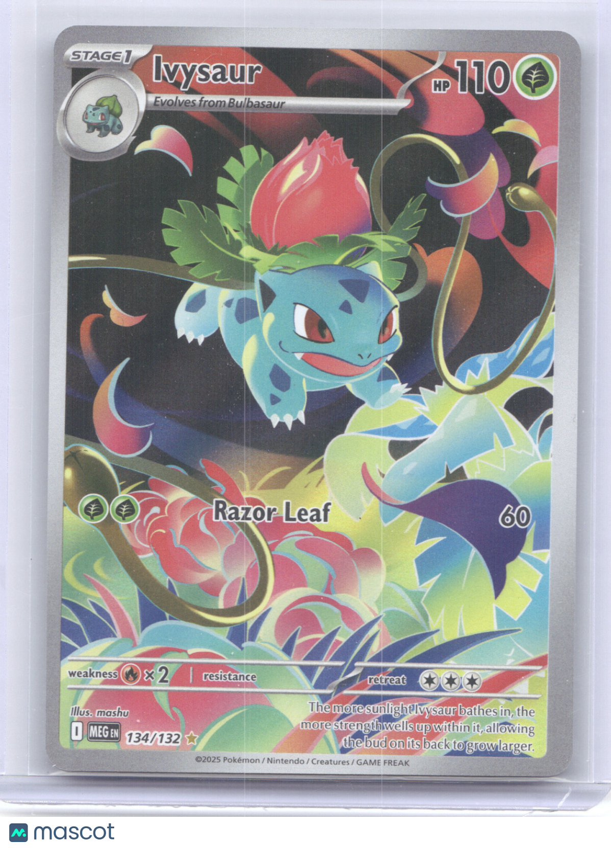 2025 Mega Evolution Ivysaur Secret Rare #134/132