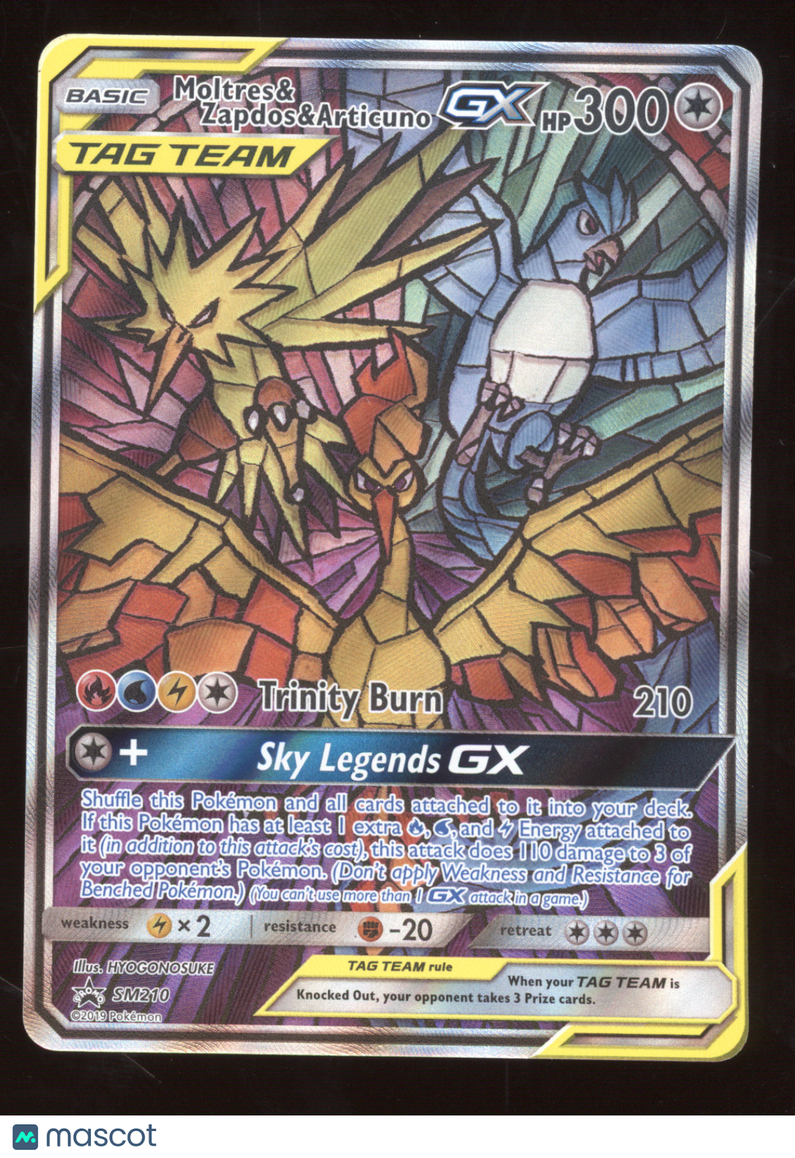 2019 Sun & Moon Moltres & Zapdos & Articuno GX Black Star Promo #SM210