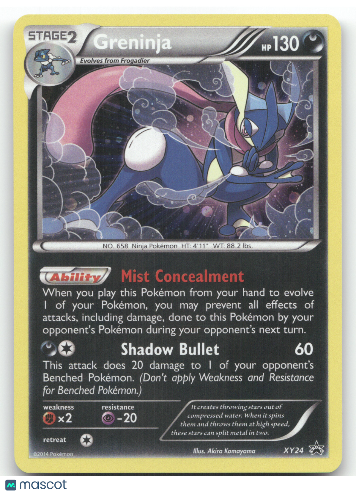 2014 XY Greninja Black Star Promo #XY24