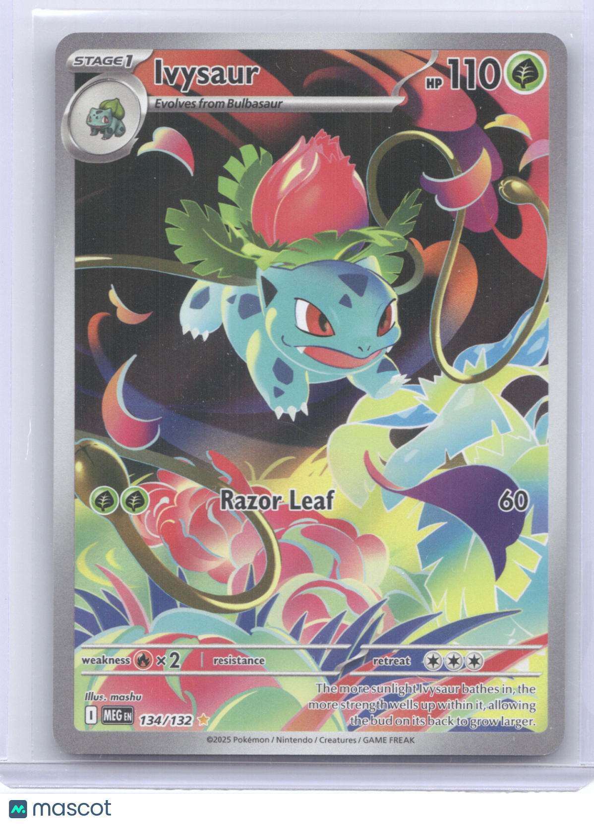 2025 Mega Evolution Ivysaur Secret Rare #134/132