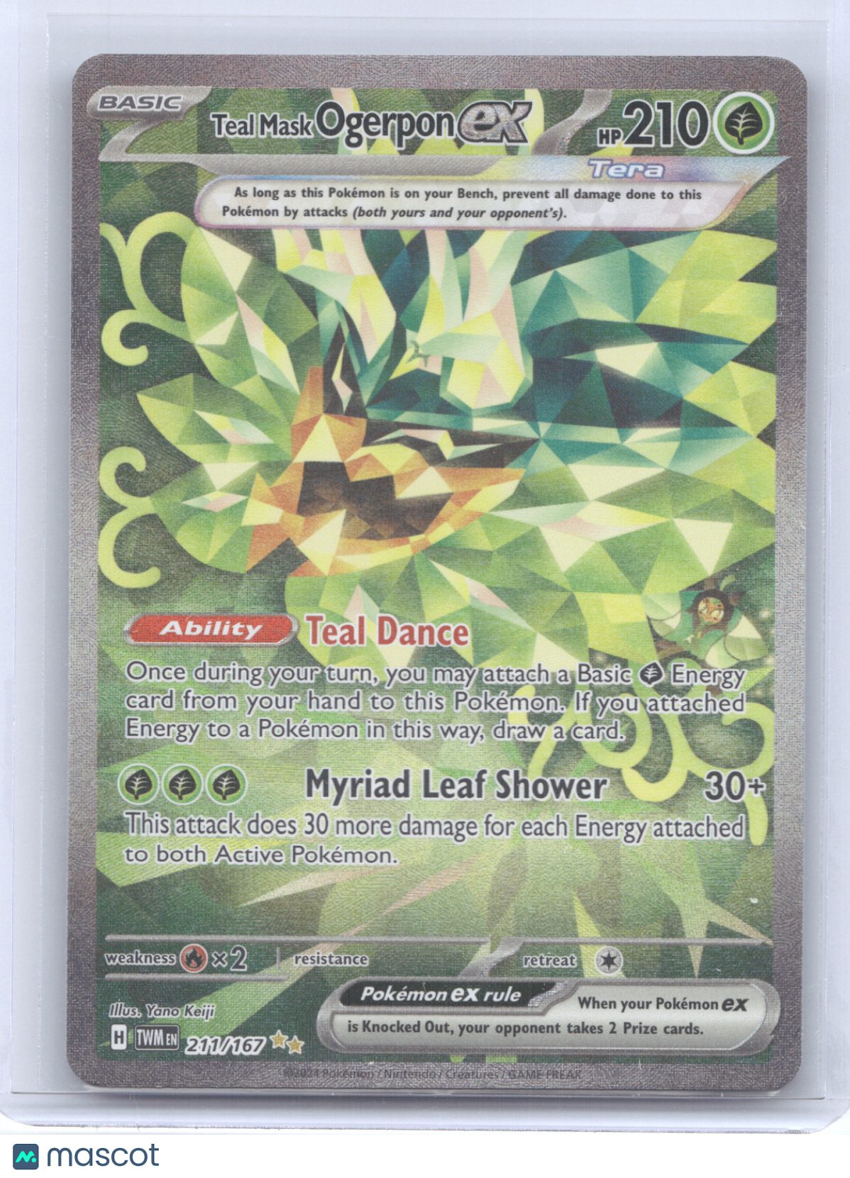2024 Twilight Masquerade Teal Mask Ogerpon ex Secret Rare #211/167