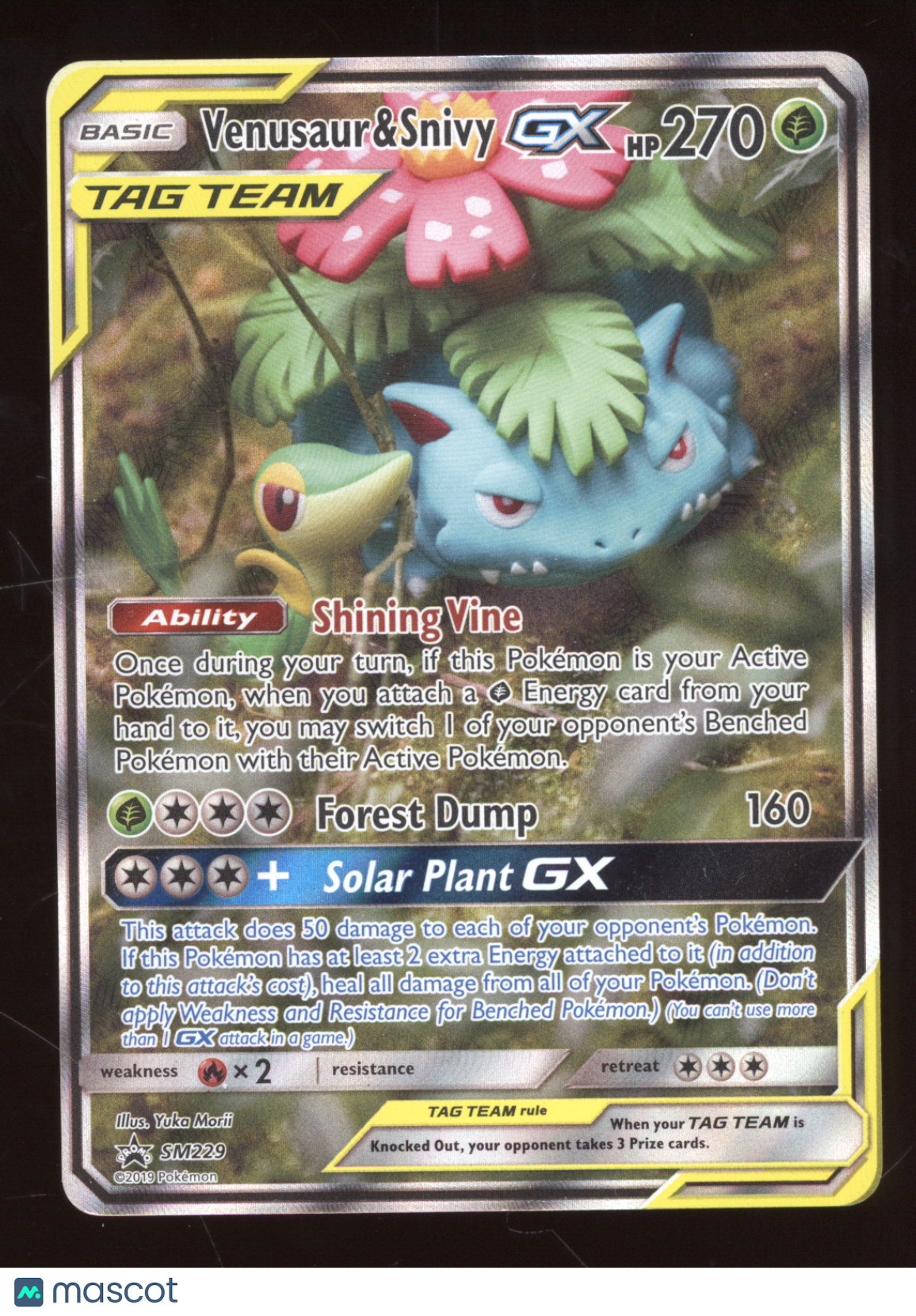 2019 Sun & Moon Venusaur & Snivy GX Black Star Promo #SM229