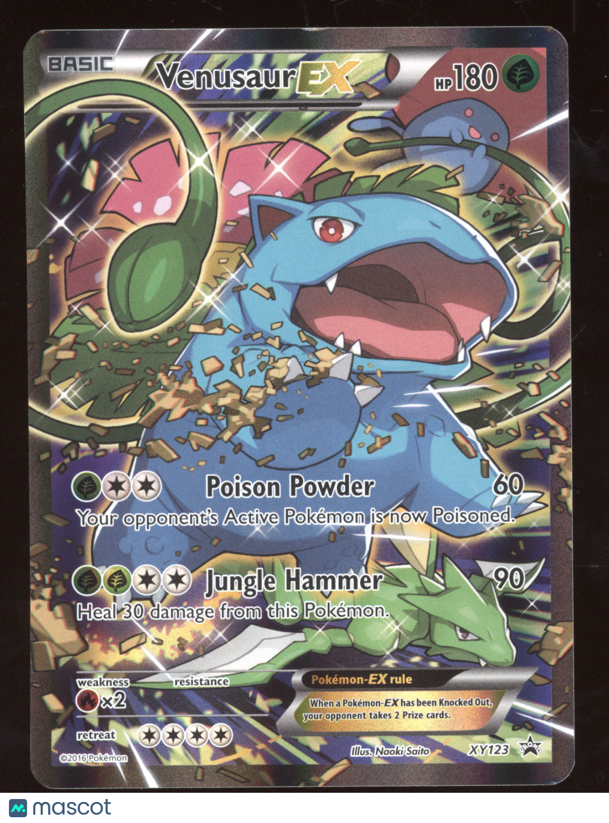 XY Venusaur EX Black Star Promo #XY123