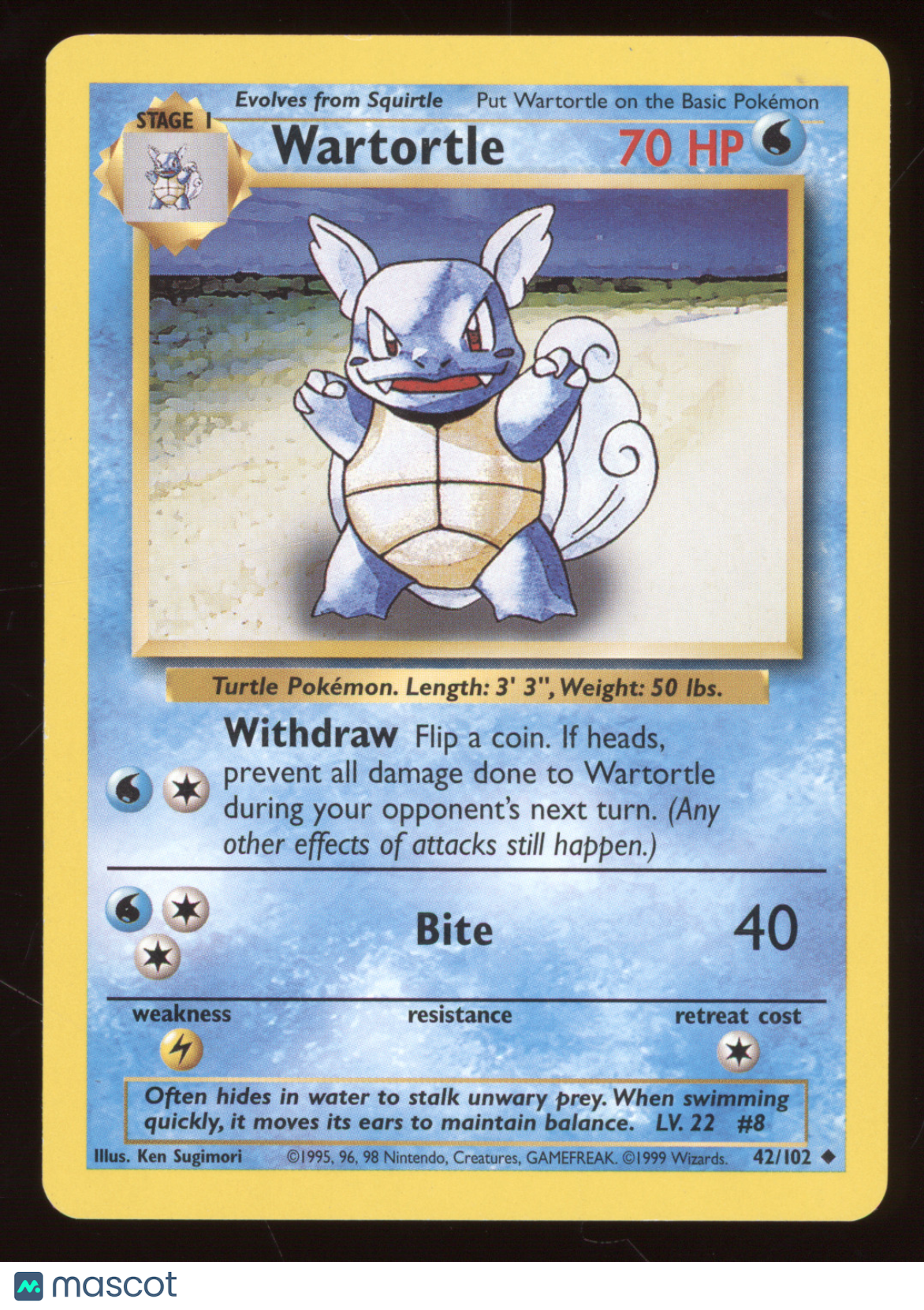 1999 Base Set Wartortle Evolution Box Error #42/102