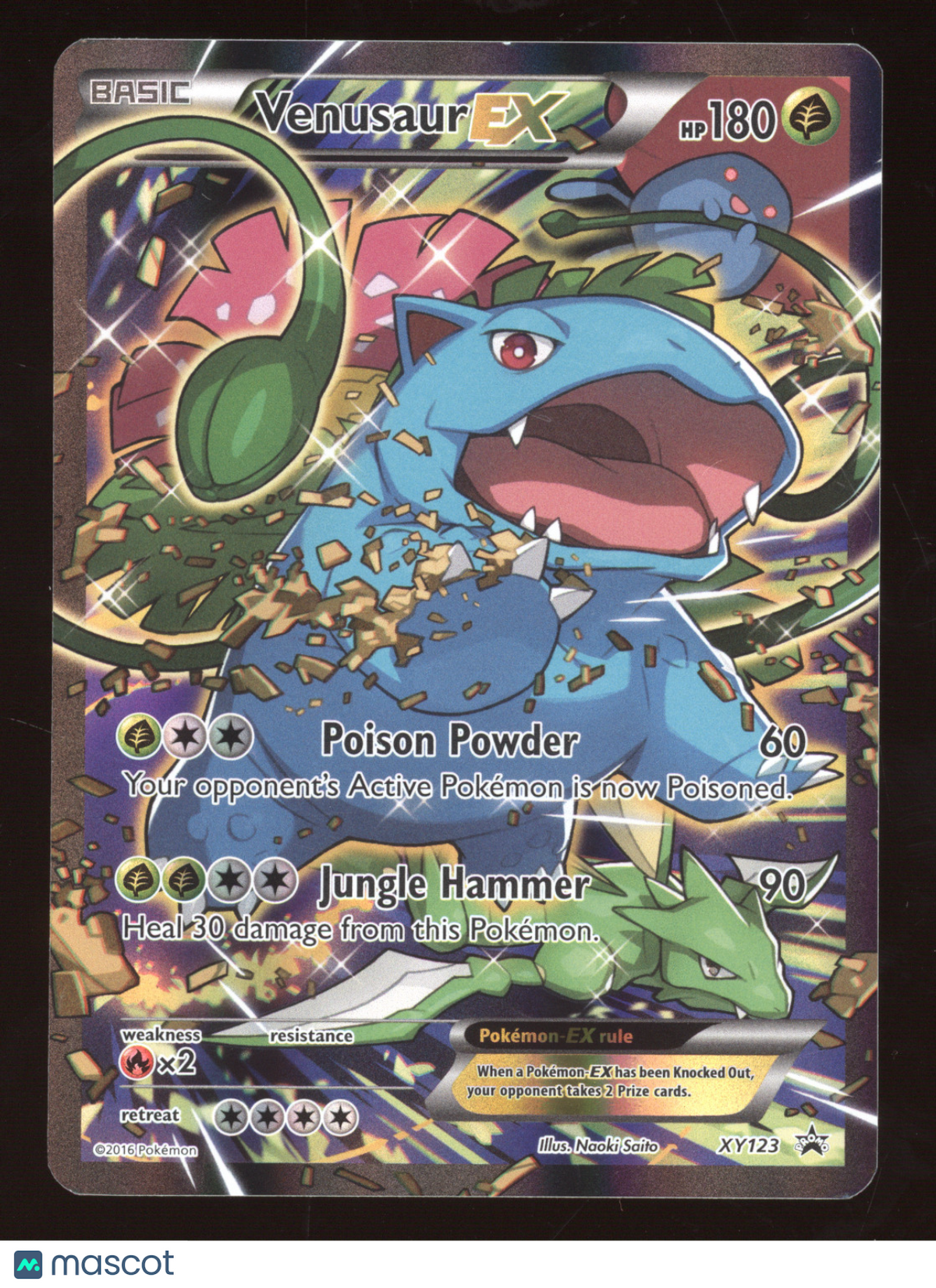 2016 Pokemon XY Venusaur EX Black Star Promo #XY123