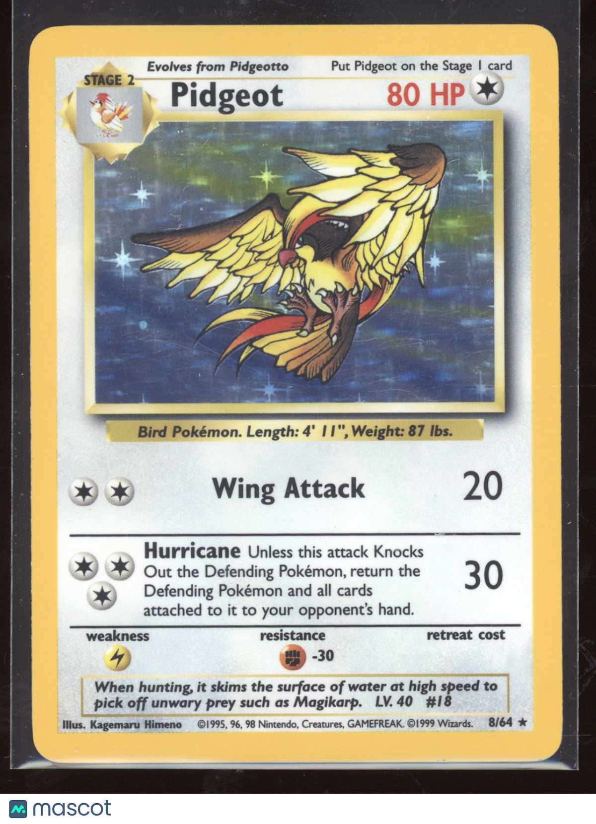 1999 Jungle Pidgeot Holo Rare #8/64