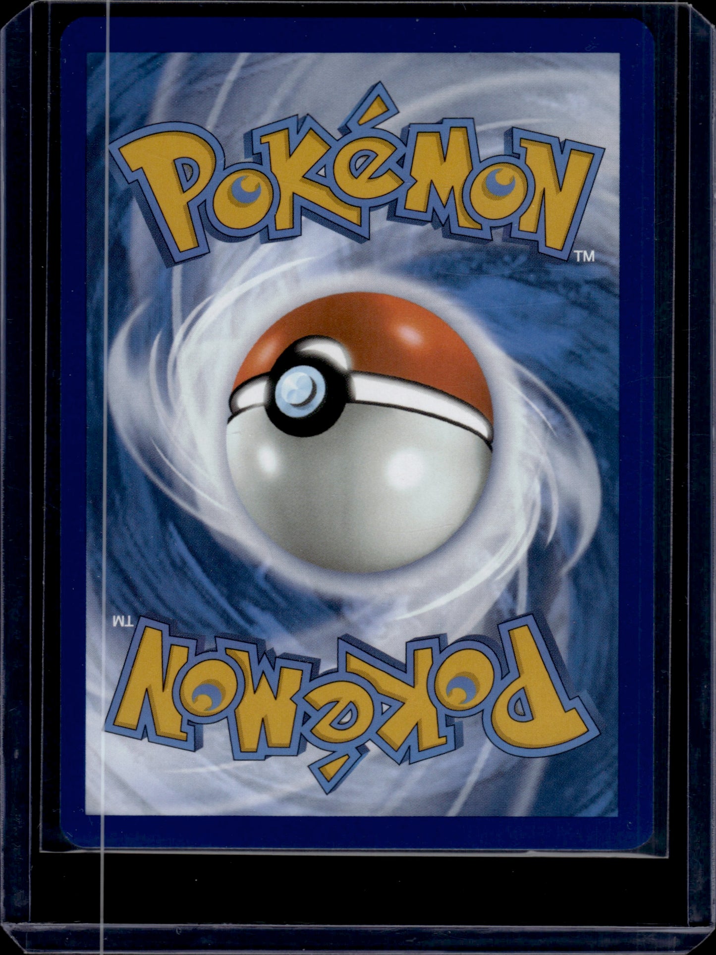 Dachsbun ex #169/142 2024 Pokemon S&V Stellar Crown