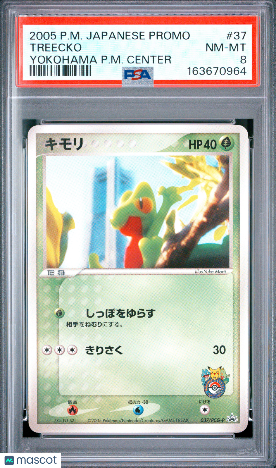 2005 Pokemon PCG-P Promo Treecko Japanese Yokohama P.M. Center PSA 8 #37