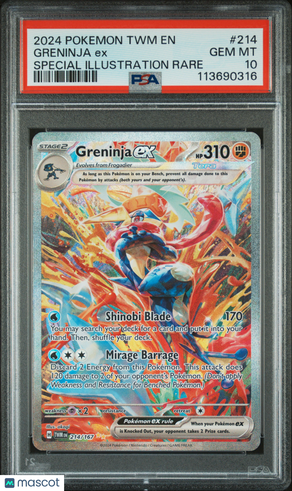 2024 Twilight Masquerade Greninja ex Special Illustration Rare PSA 10 #214/167