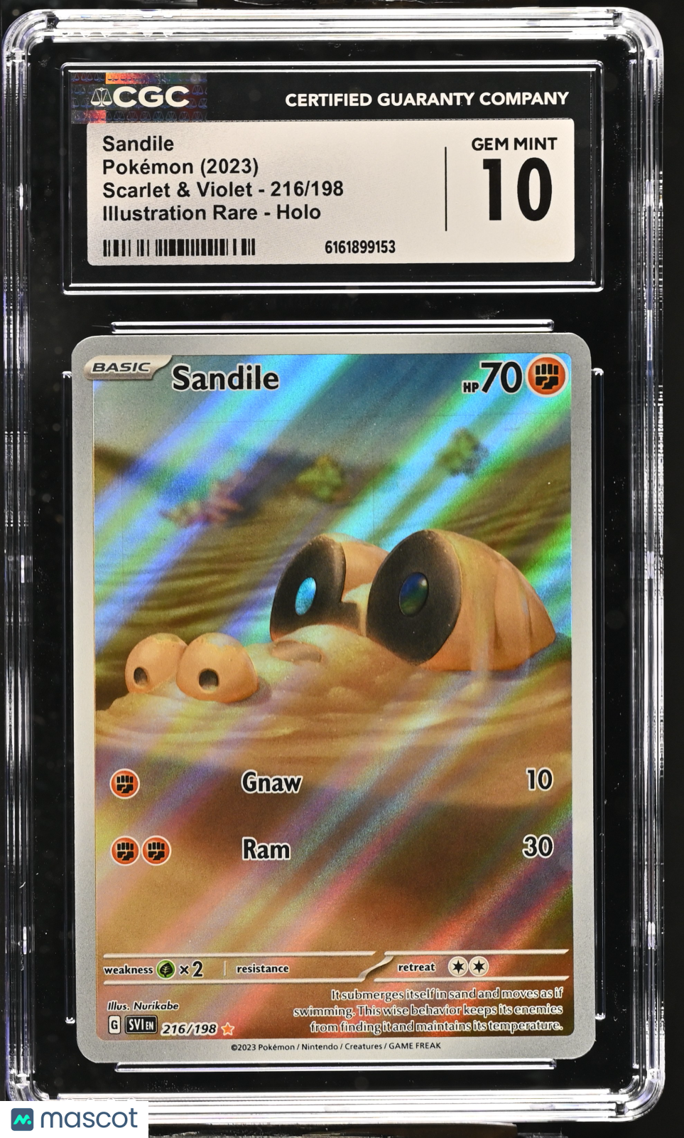 2023 Pokemon Scarlet & Violet Sandile Holo Illustration Rare CGC 10 #216/198