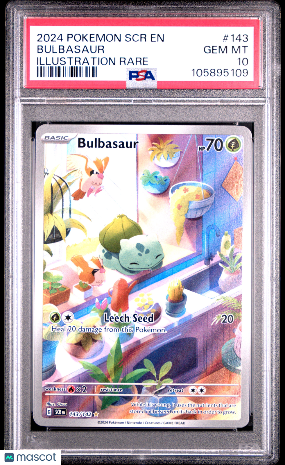 2024 Pokemon Stellar Crown Bulbasaur Illustration Rare PSA 10 #143/142