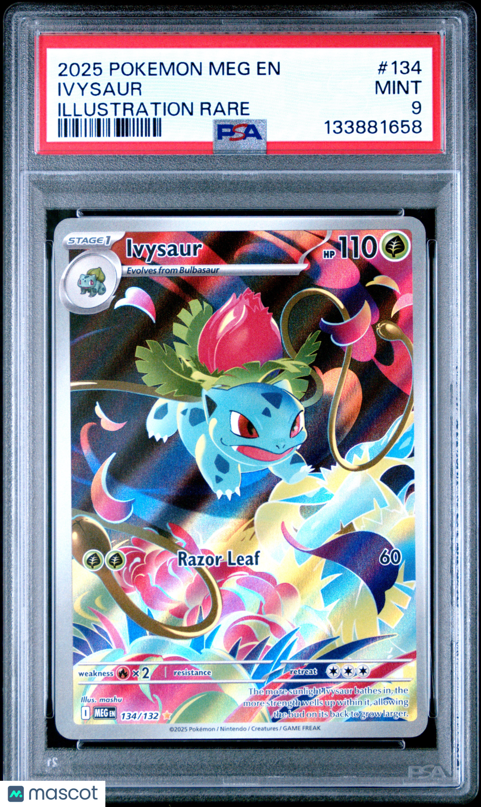 2025 Pokemon Mega Evolution Ivysaur Illustration Rare PSA 9 #134/132