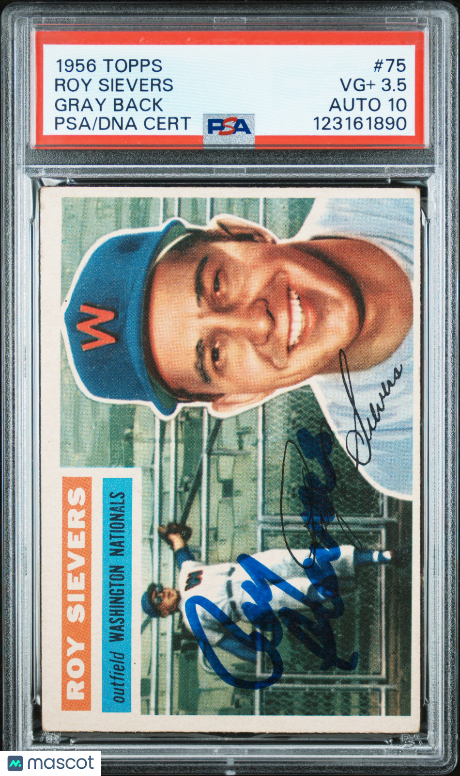 1956 Topps Roy Sievers #75 Gray Back PSA 3.5 Auto 10