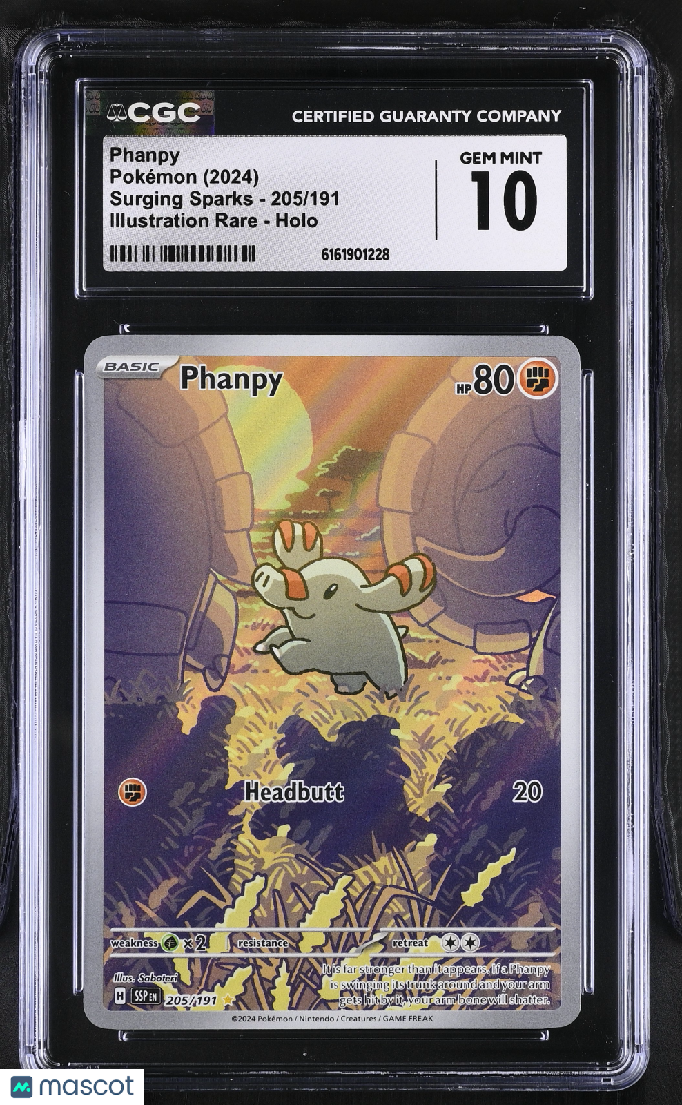 2024 Pokemon Surging Sparks Phanpy Holo Illustration Rare CGC 10 #205/191