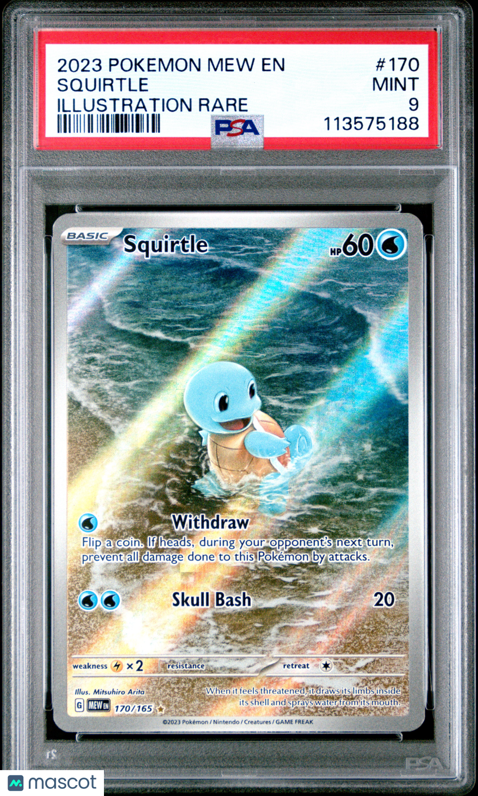 2023 Pokemon Scarlet & Violet 151 Squirtle Illustration Rare PSA 9 #170/165